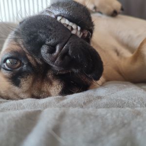 Profilbild