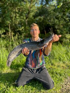 Profilbild