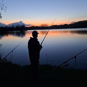 Profilbild