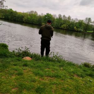 Profilbild