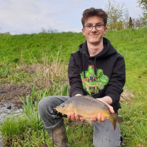 Profilbild