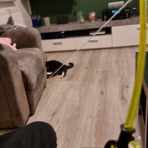 Profilbild