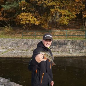 Amgel_Sachsen