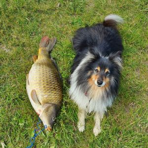 Profilbild