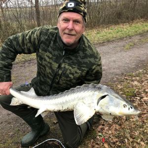 Profilbild