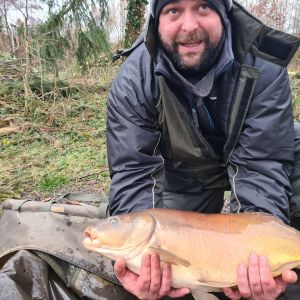 Sándor Alex Solymosi