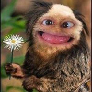 Profilbild