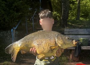 Carp_Erpi