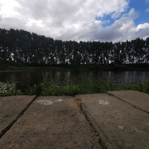 Profilbild