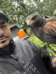 saji69