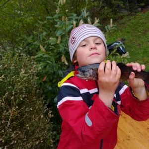Profilbild