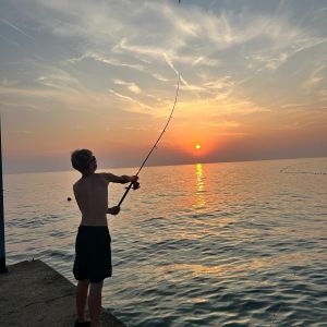 Profilbild