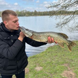 Profilbild