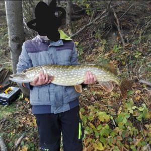 Profilbild