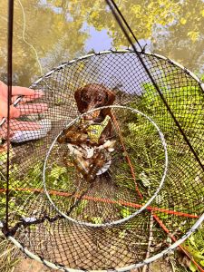 Michael und Hubertus und Ludwig