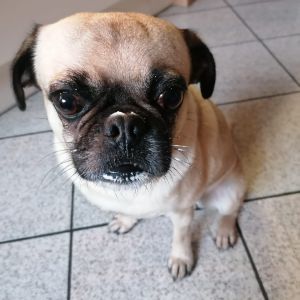 Profilbild