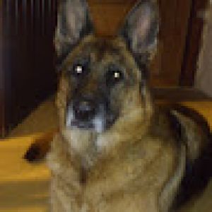 Profilbild