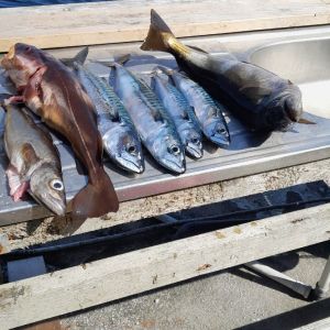 Ichkannnichtangeln1738