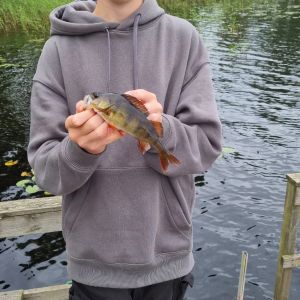 Profilbild