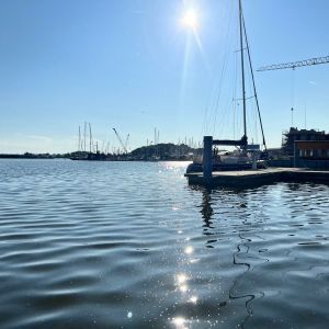 Fischmaster3000