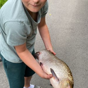 Profilbild