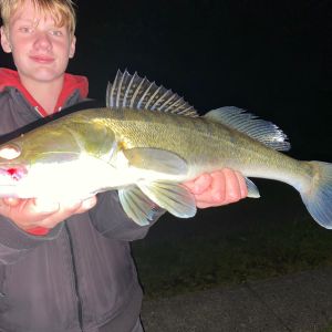 Raubfischjäger500