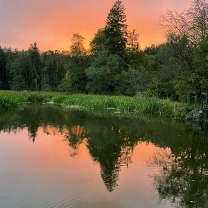 LagoDiWagoSportfishingLeo