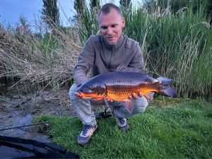 CarpCollector