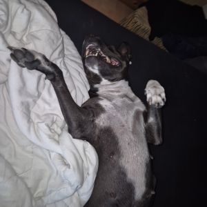 Profilbild