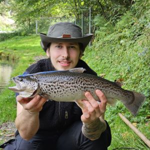 Mark Kulinyak