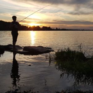 Profilbild