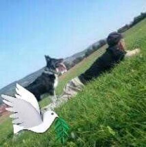 Profilbild