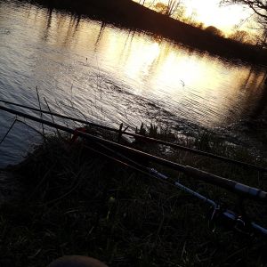 Profilbild
