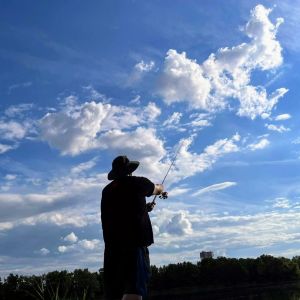 Profilbild
