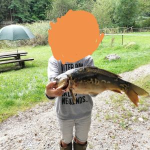 Profilbild