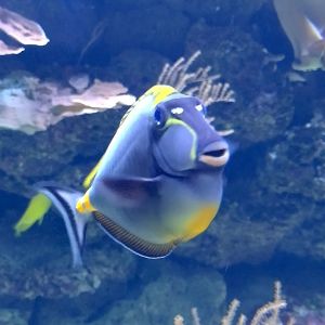 Profilbild