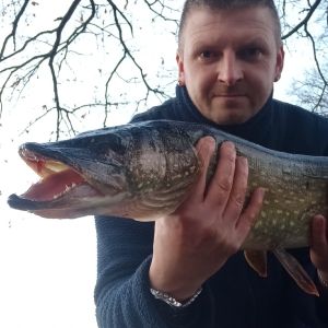 Profilbild