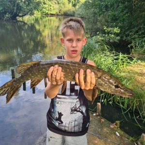 Profilbild