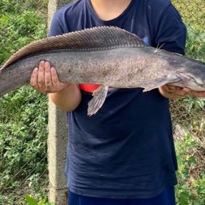 Eliasfishing077