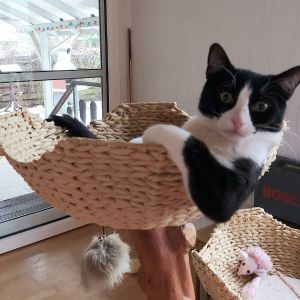 Profilbild