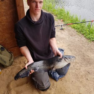 Profilbild