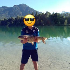 Profilbild