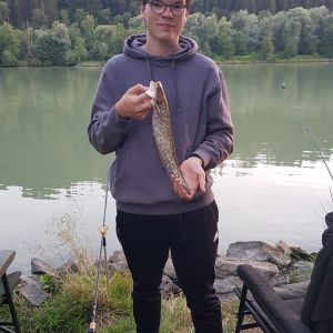 Profilbild