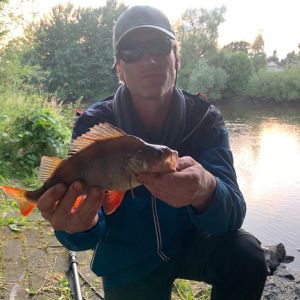 Profilbild