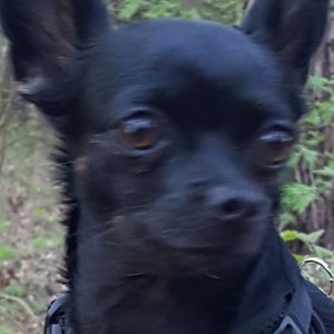 Profilbild
