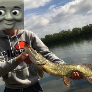 Profilbild