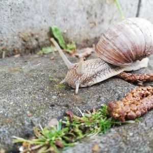 Profilbild