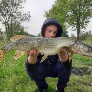 Broudis - Let's go fishing - Flo