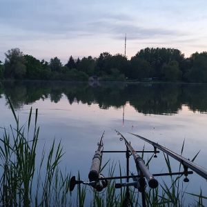 Großer Döhrener Teich ALLE ANGELN