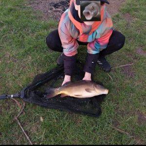 Profilbild